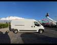 Fiat Ducato 35 2.3 MJT 130CV PLM-TM Furgone Blanc - thumbnail 10