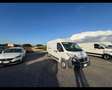 Fiat Ducato 35 2.3 MJT 130CV PLM-TM Furgone Blanc - thumbnail 11