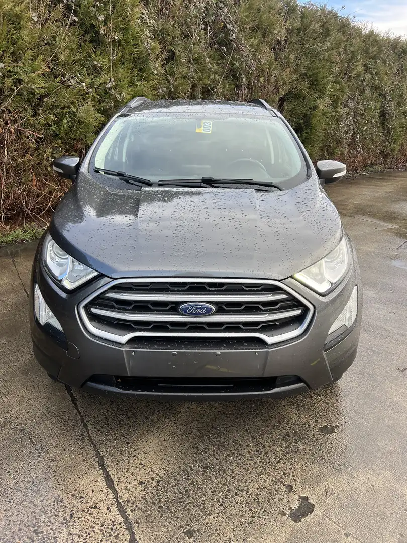 Ford EcoSport Ecosport 1.0 EcoBoost FWD Trend Grau - 2