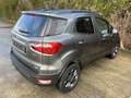 Ford EcoSport Ecosport 1.0 EcoBoost FWD Trend Grau - thumbnail 6