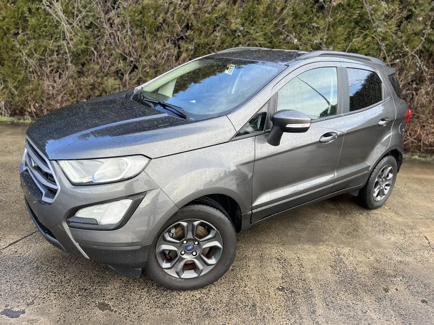 Ford EcoSport Ecosport 1.0 EcoBoost FWD Trend Grau - 1