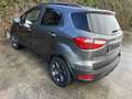 Ford EcoSport Ecosport 1.0 EcoBoost FWD Trend Grau - thumbnail 4