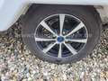 Niewiadow N 126 NT - 215  (2) - thumbnail 6