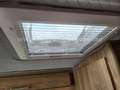 Niewiadow N 126 NT - 215  (2) - thumbnail 25