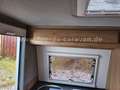 Niewiadow N 126 NT - 215  (2) - thumbnail 24
