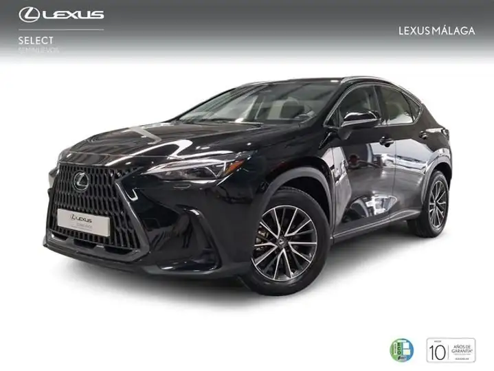 Lexus NX 2025
