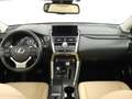Lexus NX 300h AWD President Limited | Mark Levinson Audio | Schu Červená - thumbnail 6