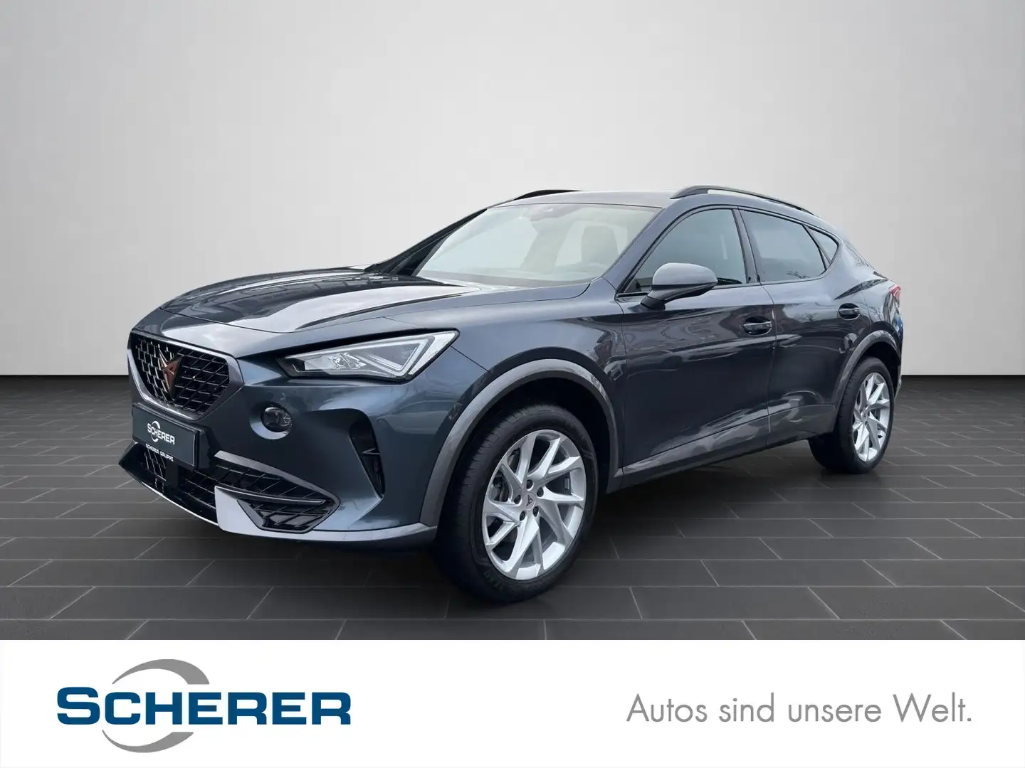 CUPRA Formentor 1.5 TSI DSG Full Link Voll LED Winterp Grau - 1