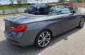 BMW 228 228i Cabrio Sport auto - thumbnail 2