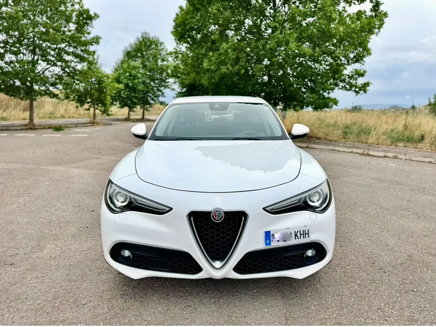 Alfa Romeo Stelvio 2.2 Super RWD Aut. 150 - 2