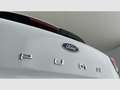 Ford Puma 1.0 EcoBoost MHEV Titanium 125 Weiß - thumbnail 34