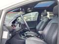Ford Puma 1.0 EcoBoost Hybrid ST-Line X / NL-Auto / Half-Led Wit - thumbnail 14