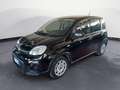 Fiat Panda Panda 1.0 FireFly S&S Hybrid Noir - thumbnail 1