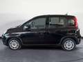 Fiat Panda Panda 1.0 FireFly S&S Hybrid Noir - thumbnail 4
