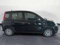 Fiat Panda Panda 1.0 FireFly S&S Hybrid Noir - thumbnail 8