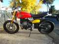 Fantic Caballero 500 scrambler rossa Rouge - thumbnail 4