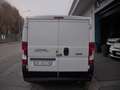 Fiat Ducato 2.3MJET 120CV L1H1 EURO6D Bianco - thumbnail 4