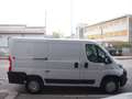 Fiat Ducato 2.3MJET 120CV L1H1 EURO6D Bianco - thumbnail 6