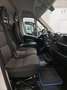 Fiat Ducato 2.3MJET 120CV L1H1 EURO6D Bianco - thumbnail 11