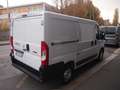 Fiat Ducato 2.3MJET 120CV L1H1 EURO6D Bianco - thumbnail 5
