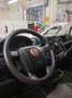 Fiat Ducato 2.3MJET 120CV L1H1 EURO6D Bianco - thumbnail 13