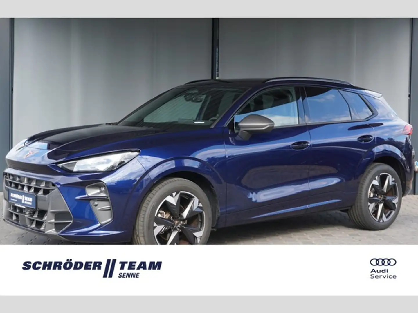 CUPRA Sonstige Terramar 1.5 eTSI DSG FullLink LED ACC SHZ Blau - 1