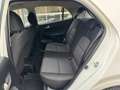 Kia Picanto 1.0 MPi DynamicLine 48309KM! NAP | 1e Eigenaar | N Blanc - thumbnail 14