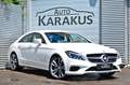 Mercedes-Benz CLS 350 d 4Matic "designo/Diamant/360°/Comand" Weiß - thumbnail 1