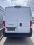Fiat Ducato 35 L2H2 150 Kombi Maxi - thumbnail 3