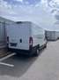 Fiat Ducato 35 L2H2 150 Kombi Maxi - thumbnail 2
