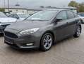 Ford Focus 1.0 Business AHK*NAVI*PDC*TEMP*LHZ*SHZ Gris - thumbnail 7