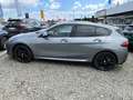 BMW 118 d F70 M Sport AHK ad.M-FW Durchlade Sonnenschutz S Grau - thumbnail 2