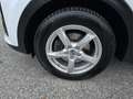 Kia Sportage 1,6 CRDI MHD AWD Silber DCT Aut. Weiß - thumbnail 9