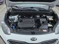 Kia Sportage 1,6 CRDI MHD AWD Silber DCT Aut. Weiß - thumbnail 17