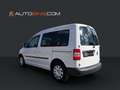 Volkswagen Caddy 1.2 TSI*Klima*Sitzh.*Ahk*7-Sitzer* Weiß - thumbnail 4
