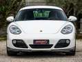 Porsche Cayman Cayman I 987 2005 2.9 PDK Weiß - thumbnail 4