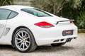 Porsche Cayman Cayman I 987 2005 2.9 PDK Weiß - thumbnail 15
