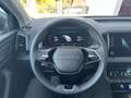Skoda Karoq 4x4 Selection TDI DSG Grau - thumbnail 15