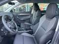Skoda Karoq 4x4 Selection TDI DSG Grau - thumbnail 11