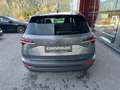 Skoda Karoq 4x4 Selection TDI DSG Grau - thumbnail 5