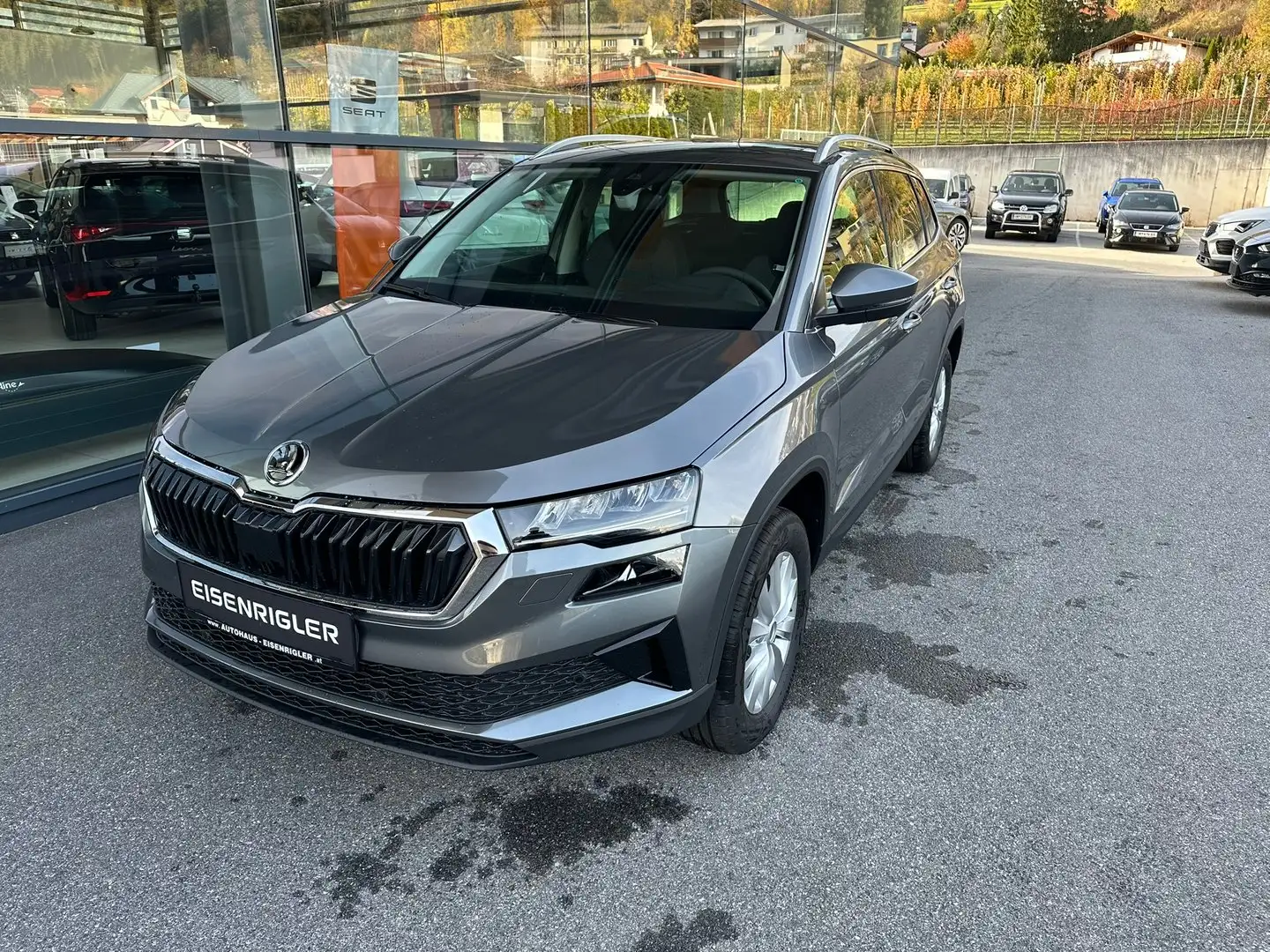 Skoda Karoq 4x4 Selection TDI DSG Grau - 1
