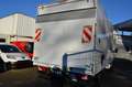 Mercedes-Benz Sprinter 316 CDI Koffer + LBW Blanc - thumbnail 4