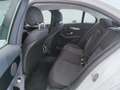 Mercedes-Benz C 220 d 4MATIC Blanco - thumbnail 10