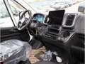 Opel Movano Cargo L2H2 3,5t verstärkt 140 PS Schalter Bianco - thumbnail 4