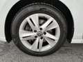 Volkswagen Golf VIII Var. 2.0 TDI DSG Life ASSIST+LED+RADAR Weiß - thumbnail 10