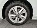 Volkswagen Golf VIII Var. 2.0 TDI DSG Life LED+MEGAPREIS Weiß - thumbnail 8