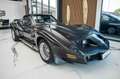 Corvette C3 C3 Stingray Widebody | Einzelstück | Wertguta Gris - thumbnail 3