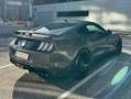 Ford Mustang Mustang 5,0 Ti-VCT V8 GT Aut. GT / 20 Zoll / Voll / MagneRide / Recaro / Ford Perfomance Grau - thumbnail 9