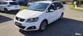 SEAT Alhambra Style / Sitzer Kamera Navi AHK Weiß - thumbnail 1