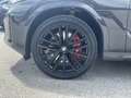 BMW X6 xDrive30d Grau - thumbnail 20